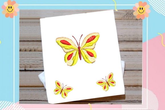 Multi Color Butterfly